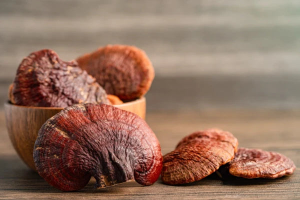Reishi