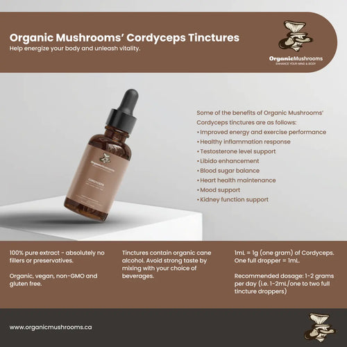 Reishi Tincture