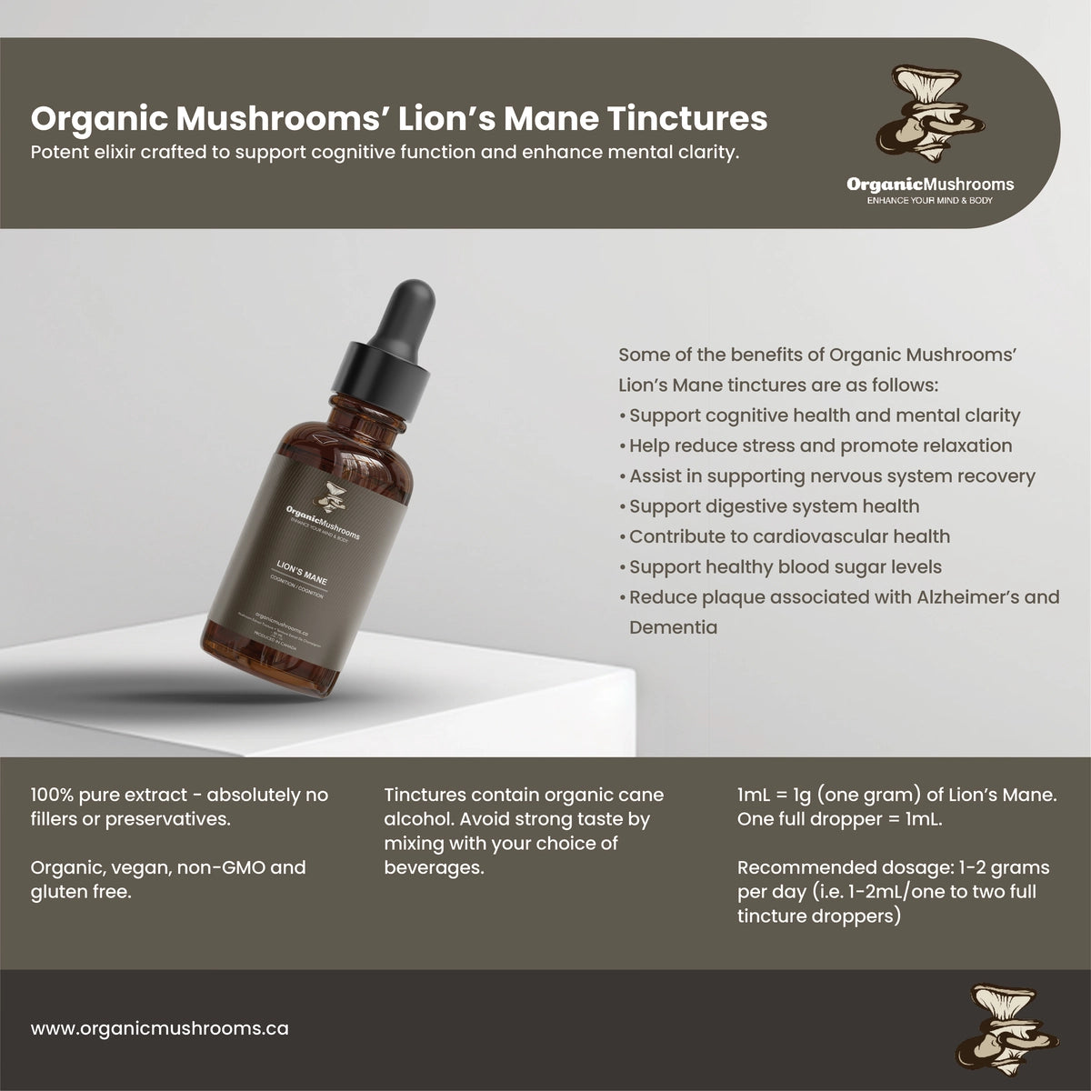 Lion's Mane Tincture